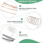 2-Rolls 0.2mm Jewelry Wire, 32 Gauge 328FT Craft Wire Copper Beading Wire for Jewelry Making/Planting/Weaving/DIY Crafting, Soft Metal Wires [100M, Copper Tone]