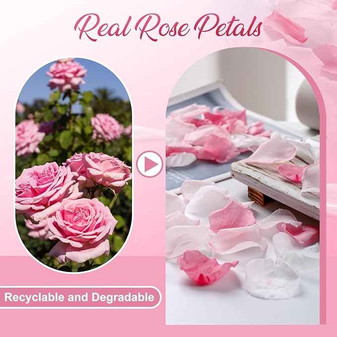 180 PCS Real Pink White Rose Flower Petals Confetti for Wedding to Throw, 1.75oz Freeze Dried Rose Petal for Proposal Centerpieces Romantic Night Decor