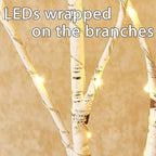 Fudios Lighted White Birch Branches with 100 Multicolor LED Fairy Lights 32in 8 Fuctions, Battery Color Changing Christmas Twig Lights for Vase Indoor Holiday Decoration