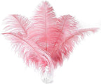 Ballinger Lotus Pink Ostrich Feathers - 24Pcs 12-14inch Large Feathers Bulk for Vase,Party Centerpieces,Wedding and Home Decor