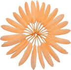 FeelfunFeather 120pcs Champagne Goose Cochettes Feather Natural Bulk 4-6 inch 10-15cm for Wedding Party Christmas Decorations DIY Crafts Goose Cochettes Feather