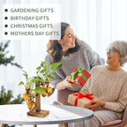 Plants Propagation Stations Plant Terrarium Kit Glass Planters for Indoor Plants House Plant Accessories Gift for Women - 4 Love Bulb Vase