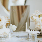JINMURY Sliver Wedding Table Numbers 1-10 with Stands, 5"x7" Sliver Mirror Acrylic Table Numbers for Wedding Reception(Sliver Mirror White Font, Number 1-10, 5"x7")