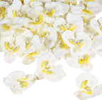 40 Pieces Orchid Petals Artificial Decorations Wedding Party Orchids Heads Flowers Faux Silk Phalaenopsis Butterfly Flower Heads for DIY Craft Home (White)