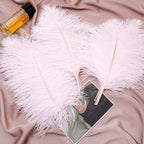 Ballinger Light Pink Ostrich Feathers - 24Pcs 8-10inch Feathers for Crafts,Party Centerpieces,Wedding and Home Decor