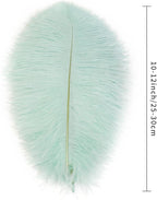 Ballinger Aqua Green Ostrich Feathers - 24pcs 10-12inch Craft Feathers Bulk for Wedding Party Centerpieces Mardi Gras Decorations and Home Decor