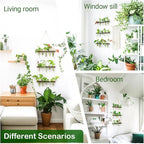 Ivolador Hanging Plant Propagation Tubes,3 Tiered Wall Hanging Terrarium Flower Planter Vase for Hydroponic Plants Cutting Home Office Garden Decor Plant Lover Gift