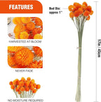 Dried Globe Amaranth Flower with Wheat Straw Natural - 40PCS Bouquet for Vase Home Decor Party DIY Arrangement (Orange)