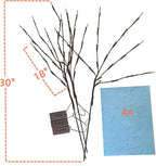 3 Pack Warm White Lighted Branches 60 LED Twig Lights Lighted Plants Artificial Twinkle Willow Branch Lamp Home Fairy Light Up Branch for Vases Holiday Party Indoor Decor Battery Operated para Casa