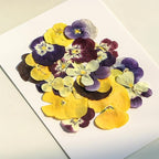 54 Pcs Dried Pressed Flowers for Resin DIY Art Crafts Natural Dry Floral Epoxy Jewelry Real Flower Decor Cakes Phone Cases Candles Handmade Soap Purple Pansy