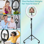 MACTREM 22" Foldable Ring Light with Stand for iPhone ipad, 75" Tripod with Wheels 50W 6500K LED Display/2 USB Ports Large Ringlight Rolling, Tattoo Barber Makeup Studio Video Photography Lighting