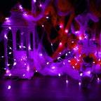16 Pack 30 Led Fairy Lights Battery Operated String Lights 10 Feet Waterproof Twinkle Lights Mason Jar Purple