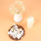 Dried Flowers,Dried Flowers Set for DIY Scrapbook Accessories Flower Arrangements Flower Decoration Wedding Decoration(White)