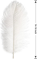 THARAHT 12pcs White Ostrich Feathers Natural Bulk 14-16Inch 35cm-40cm for Wedding Party Centerpieces Easter Gatsby and Home Decorate Ostrich Feathers