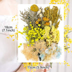 Vignee Real Dried Pressed Leaf Flowers-Multiple Colorful Pressed Flowers Daisies for Craft Resin Jewelry Making Art Craft DIY and Soap Candle Scrapbooking DIY Resin（Yellow）