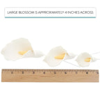 Global Sugar Art Calla Lily Sugar Cake Flowers White with Yellow, Wired,3 sizes, 6 Count by Chef Alan Tetreault