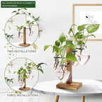 Plants Propagation Stations Plant Terrarium Kit Glass Planters for Indoor Plants House Plant Accessories Gift for Women - 4 Love Bulb Vase