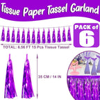 6P Purple Foil Fringe Metallic Tassel Streamers Banner Tassel Garland for Parade Floats, Bachelorette, Wedding, Birthday, Graduation, Christmas, Bridal/Baby Shower Party Decorations