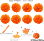 ZERODECO Party Decoration, 21 Pcs Orange Hanging Paper Fans Pom Poms Flowers, Garlands String Polka Dot and Triangle Bunting Flags for Minnie Mouse Birthday Parties Baby Showers Wedding