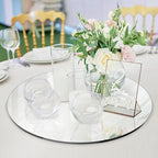 Seelenruhe 10" Round Mirrors for Centerpieces for Tables, Round Mirrors Trays Plates for Centerpieces, Wedding Decorations, Baby Shower Party, Christmas Decorations, 2mm, 12 PCS