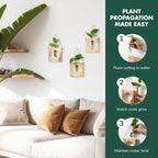 · GARDEN REPUBLIC · Propagation Stations Set of 2 - Propagation Vases for Plants - Hanging Wooden Wall Planter and Glass Test Tubes - Indoor Plant Holder, Hydroponic Decor