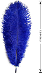 THARAHT Blue Ostrich Feathers 12pcs Large Natural Bulk 12-14Inch 30cm-35cm for Wedding Party Centerpieces Halloween and Home Decoration Feathers