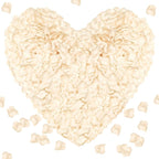 1000Pieces Rose Petals, Artificial Flower Petals Fake Rose Petals for Romantic Night,Wedding,Proposal Anniversary Flower Decorations (Champagne)