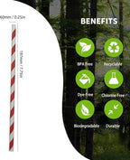 Bright Red And White Stripes Paper Drinking Straws, Biodegradable Food Grade Red Striped Barber Paper Straw For Daily Use Drinking, Coca Cola Straws (Pack of 100)