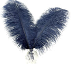 Happy Feather 16-18 inch Navy Blue Ostrich Feathers Craft for Wedding Party Centerpieces Home Decoration DIY Craft Pack of 10