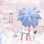 Maitys 90 Pcs Large Natural Ostrich Feathers Bulk 14-16 Inch (35-40cm) 12-14 Inch (30-35cm) 10-12 Inch (25-30cm) Ostrich Feathers Plumes for Centerpieces Wedding(Light Blue)