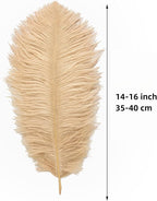 Ballinger Champagne Large Ostrich Feathers - 12Pcs 14-16inch Large Boho Feathers for Vase,Wedding Party Centerpieces and Holiday Home Decor