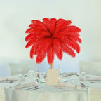 Retrowavy 30 Pcs 18-20 Inch Large Natural Ostrich Feathers Bulk for Centerpieces for Wedding Party Centerpieces Home Decoration Flower Arrangement (Red)