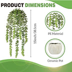 Succulents Plants Artificial, Small String of Pearls with Ceramic Pot Artificial Faux String of Pearls Suitable for Home Garden Decor, Wall Decoration