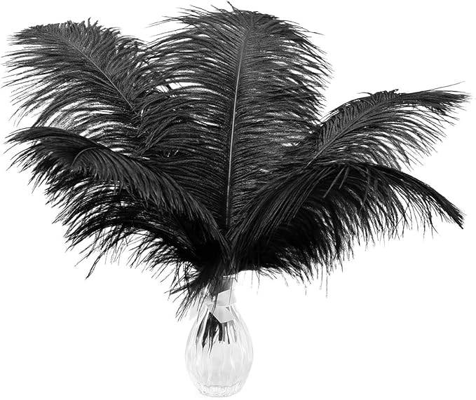 Ballinger Black Large Ostrich Feathers - 12Pcs 14-16inch Large Feathers for Vase, Wedding Party Centerpieces and Halloween Home Decor