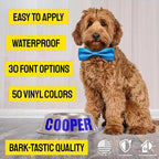 Personalize Your OWN Windshield Decal - Custom Vinyl Sticker Car Window - Car Windshield Graphic Name Letters Car Truck Door Banner（2PCS）