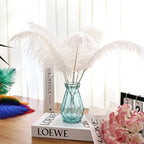 Bulk White Ostrich Feathers - 12pcs 12-14inch Crafting Supplies for Centerpiece Table Decorations