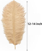 Ballinger Large Champagne Ostrich Feathers - 24pcs 12-14inch Boho Feathers for Vase and Home Decor Wedding Party Centerpieces