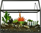 Black 1 Large Glass Plant Terrarium Kit with Lip Greenhouse for Succulents