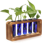 Glass Plant Propagation Station with 5 Test Tubes Colorful Planter Vase Birthday Gifts for Women in Wooden Stand