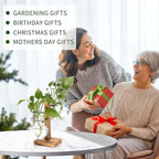 Plants Propagation Stations Plant Terrarium Kit Glass Planters for Indoor Plants House Plant Accessories Gift for Women - 4 Love Bulb Vase