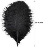 Ballinger Black Large Ostrich Feathers - 12Pcs 14-16inch Large Feathers for Vase, Wedding Party Centerpieces and Halloween Home Decor