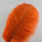 KOLIGHT® 40pcs 12''~14''(30~35cm) Natural Ostrich Feathers for DIY Home Wedding Party Office Decoration (Orange)