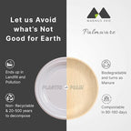 magnus EKO | 6 Inch Square Plates 200 Pcs | Disposable Plates For Party | Eco Friendly, Compostable and Biodegradable serving plates for Catering, Weddings and Parties