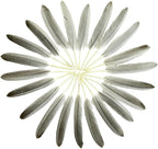 FeelfunFeather 120pcs Natural Gray Goose Cochettes Feathers Bulk 4-6 inches 10-15cm for Wedding Party Christmas Halloween Decorations DIY Crafts