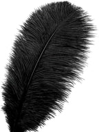 Ballinger Black Large Ostrich Feathers - 12Pcs 14-16inch Large Feathers for Vase, Wedding Party Centerpieces and Halloween Home Decor