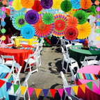 Colorful Birthday Decorations - Mexican Fiesta Party Decorations with Paper Fans, Paper Pom Poms,Dots Garland, Pennant Banner, Honeycomb Balls Packs