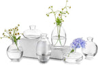 Glass Bud Vase for Centerpieces, 6Pcs/2Sets Glasseam Modern Clear Mini Small Vases for Flowers Bulk Flower Vase Set Aesthetic Cute Handmade Tiny Short Wedding Table Centerpiece Decor