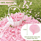1500Pcs Real Hydrangea Pink Dried Flower Petals - 1.06 oz Natural Dried Pink Petals for Romantic Night, Her Set, Proposal Decor, Flower Girl Basket (30g)