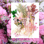 Vignee Real Dried Pressed Leaf Flowers-Multiple Colorful Pressed Flowers Daisies for Craft Resin Jewelry Making Art Craft DIY and Soap Candle Scrapbooking DIY Resin（Light Pink）