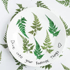 48 Pcs Dried Pressed Flowers Leaves Ferns for Crafts Art Resin DIY Natural Dry Green Leaf Epoxy Jewelry Real Rose Flower Decor Cakes Phone Cases Bookmarks Candles Handmade Soap Ferns